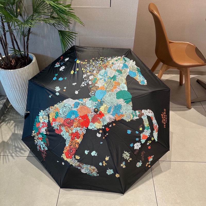 Hermes Umbrella (80)